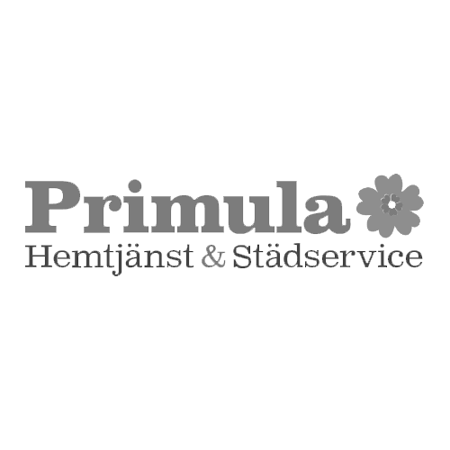 primula